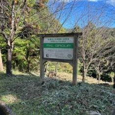 森林保全活動の共同実施