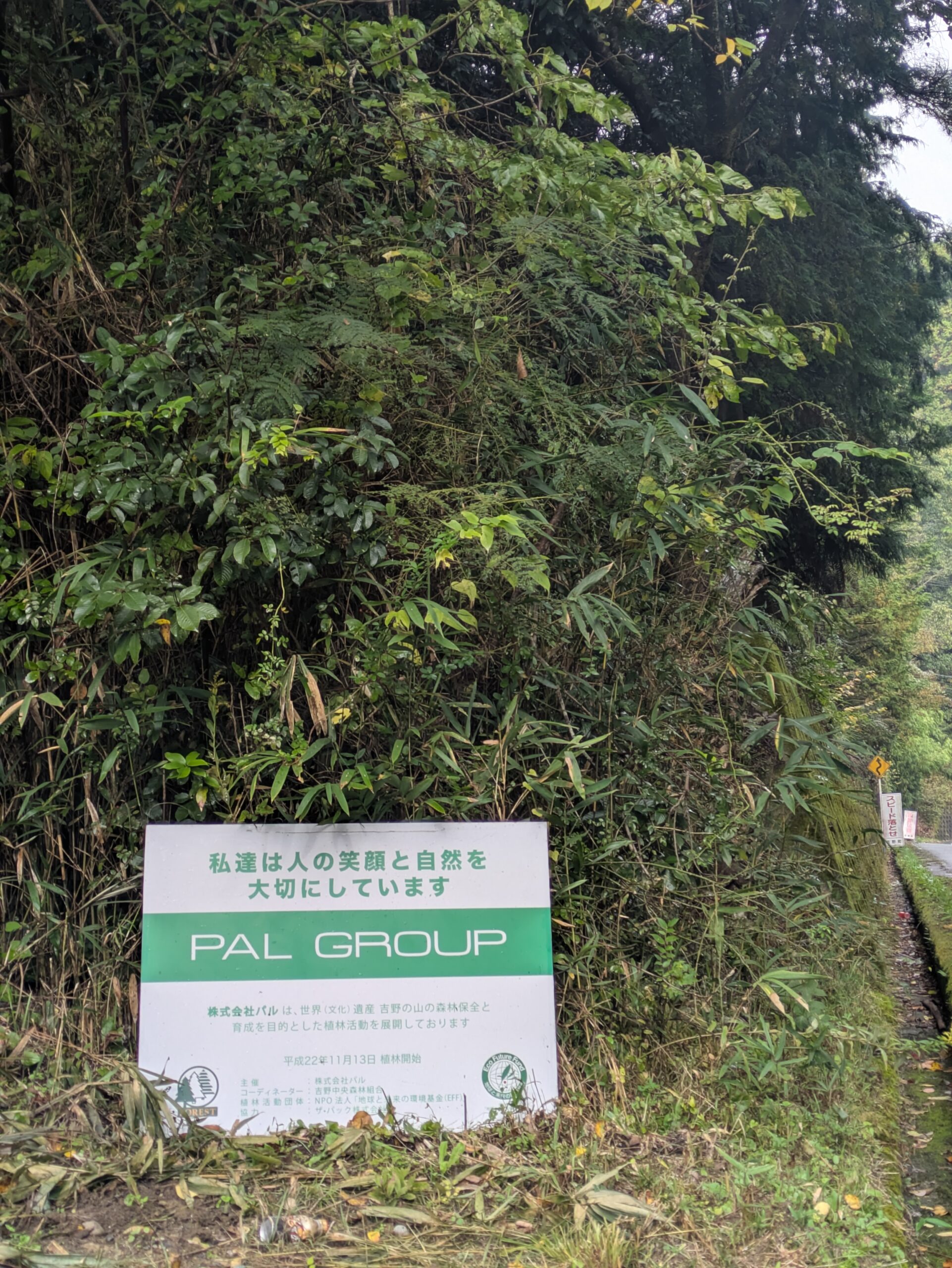 森林保全活動の共同実施　2025年